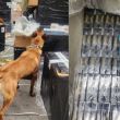 Aseguran millones de cigarros apócrifos en el AICM y Lázaro Cárdenas, Michoacán. (EFE) Aseguran millones de cigarros apócrifos en el AICM y Lázaro Cárdenas, Michoacán. (EFE)