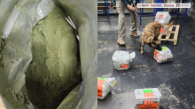 De acuerdo con las autoridades, el material se encontraba oculto dentro de una bolsa de suplemento alimenticio con la denominación de “moringa”, procedente de Colombia. (Foto: @AduanasMx)