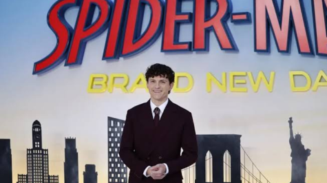 Spider Man