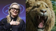 Meryl Strep dará vida a Aslan