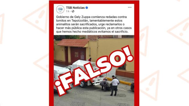 Tepotzotlán informa que es falsa la versión sobre supuestas redadas contra perros en situación de calle por parte del personal del Centro Municipal de Bienestar Animal