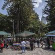 La permanencia de los comerciantes en el lugar se da tras la firma de un acuerdo con la Subsecretaría de Programas de Alcaldías y Reordenamiento de la Vía Pública (Foto: Cuartoscuro) La permanencia de los comerciantes en el lugar se da tras la firma de un acuerdo con la Subsecretaría de Programas de Alcaldías y Reordenamiento de la Vía Pública (Foto: Cuartoscuro)