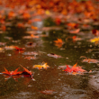 Este martes también marca el inicio del otoño en el hemisferio Norte. (Foto: Especial)