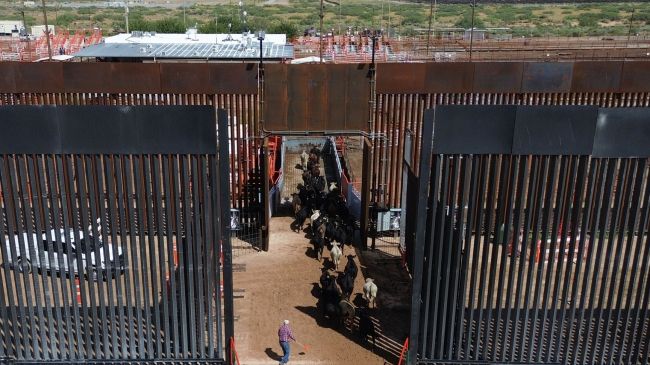 Fotografía que muestra ganado vacuno cruzando la frontera hacia Estados Unidos este jueves, desde Ciudad Juárez, Chihuahua. (EFE) Fotografía que muestra ganado vacuno cruzando la frontera hacia Estados Unidos este jueves, desde Ciudad Juárez, Chihuahua. (EFE)