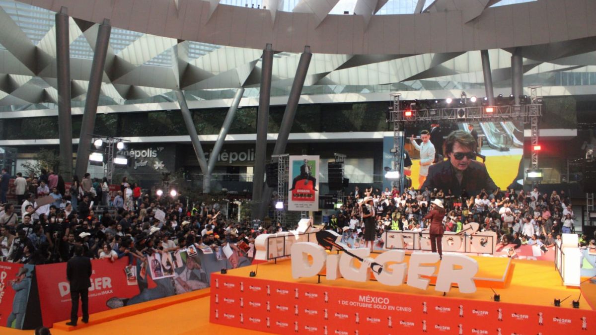 Alfombra Naranja 'Digger' Alfombra Naranja 'Digger'