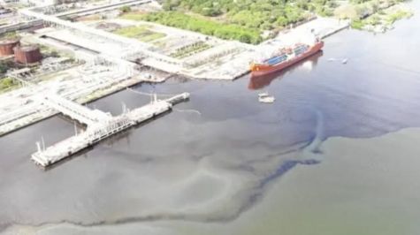 La intervención conjunta entre la Agencia de Seguridad, Energía y Ambiente (ASEA), la Marina y la Procuraduría Federal de Protección al Ambiente (Profepa) derivó en acciones inmediatas de contención y saneamiento en la orilla del río correspondiente a Veracruz (Foto: Especial) La intervención conjunta entre la Agencia de Seguridad, Energía y Ambiente (ASEA), la Marina y la Procuraduría Federal de Protección al Ambiente (Profepa) derivó en acciones inmediatas de contención y saneamiento en la orilla del río correspondiente a Veracruz (Foto: Especial)