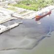 La intervención conjunta entre la Agencia de Seguridad, Energía y Ambiente (ASEA), la Marina y la Procuraduría Federal de Protección al Ambiente (Profepa) derivó en acciones inmediatas de contención y saneamiento en la orilla del río correspondiente a Veracruz (Foto: Especial)
