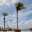Las autoridades indicaron que el fenómeno meteorológico continuará desplazándose hacia el noroeste de México y se proyecta su ingreso a Sonora (Foto: Cuartoscuro) Las autoridades indicaron que el fenómeno meteorológico continuará desplazándose hacia el noroeste de México y se proyecta su ingreso a Sonora (Foto: Cuartoscuro)