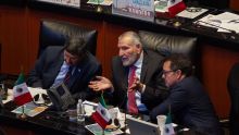 La iniciativa, impulsada por la presidenta Claudia Sheinbaum Pardo, establece como requisito obligatorio contar exclusivamente con la nacionalidad mexicana para ocupar dichos cargos de elección popular (Foto: Cuartoscuro)