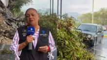 La reportera Alma Mireya de la Rosa sufrió golpes y contusiones, mientras que su camarógrafo, Cristo Morales, presentó una aparente fractura. (Capturas tomadas de redes sociales)