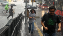 Se exhortó a la ciudadanía a mantenerse alejada de muros, árboles, cables de electricidad y anuncios espectaculares que presenten riesgo de caer. (Foto: Cuartoscuro)