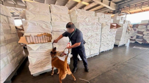 Autoridades aduaneras aseguran más de 10 millones de cigarros localizados en un contenedor que había sido declarado con vasos de vidrio, en la aduana de Lázaro Cárdenas, Michoacán. (Gabinete de Seguridad) Autoridades aduaneras aseguran más de 10 millones de cigarros localizados en un contenedor que había sido declarado con vasos de vidrio, en la aduana de Lázaro Cárdenas, Michoacán. (Gabinete de Seguridad)