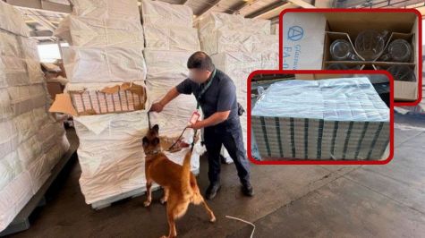 En el contenedor se localizaron únicamente 70 cajas de la mercancía declarada. (Gabinete de seguridad)