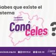 Metropolitano
