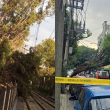 El Tren Ligero ofrece servicio provisional de Tasqueña a Estadio Azteca por un árbol sobre la catenaria, mientras personal trabaja en el retiro. (Foto: @STECDMX / @luismiguelbaraa)