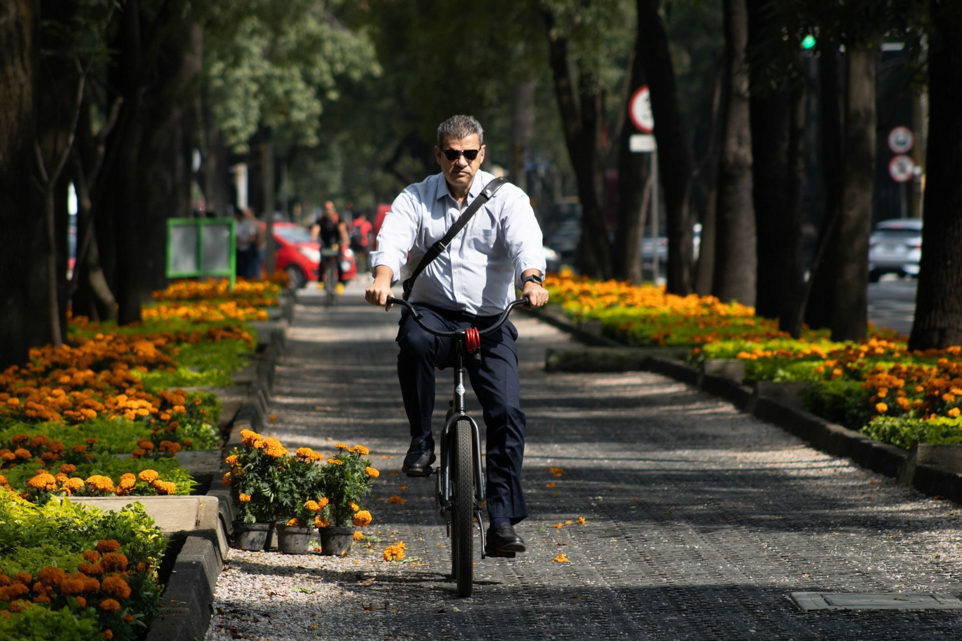 Las flores de cempasúchil forman parte de los preparativos en Paseo de la Reforma para las próximas celebraciones de Día de Muertos.  (Foto: Camila Ayala Benabib / Cuartoscuro)