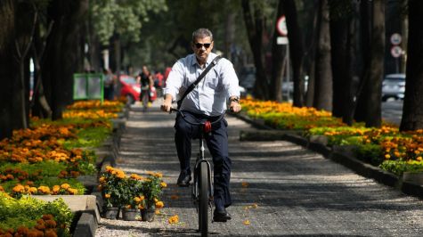 Las flores de cempasúchil forman parte de los preparativos en Paseo de la Reforma para las próximas celebraciones de Día de Muertos.  (Foto: Camila Ayala Benabib / Cuartoscuro)