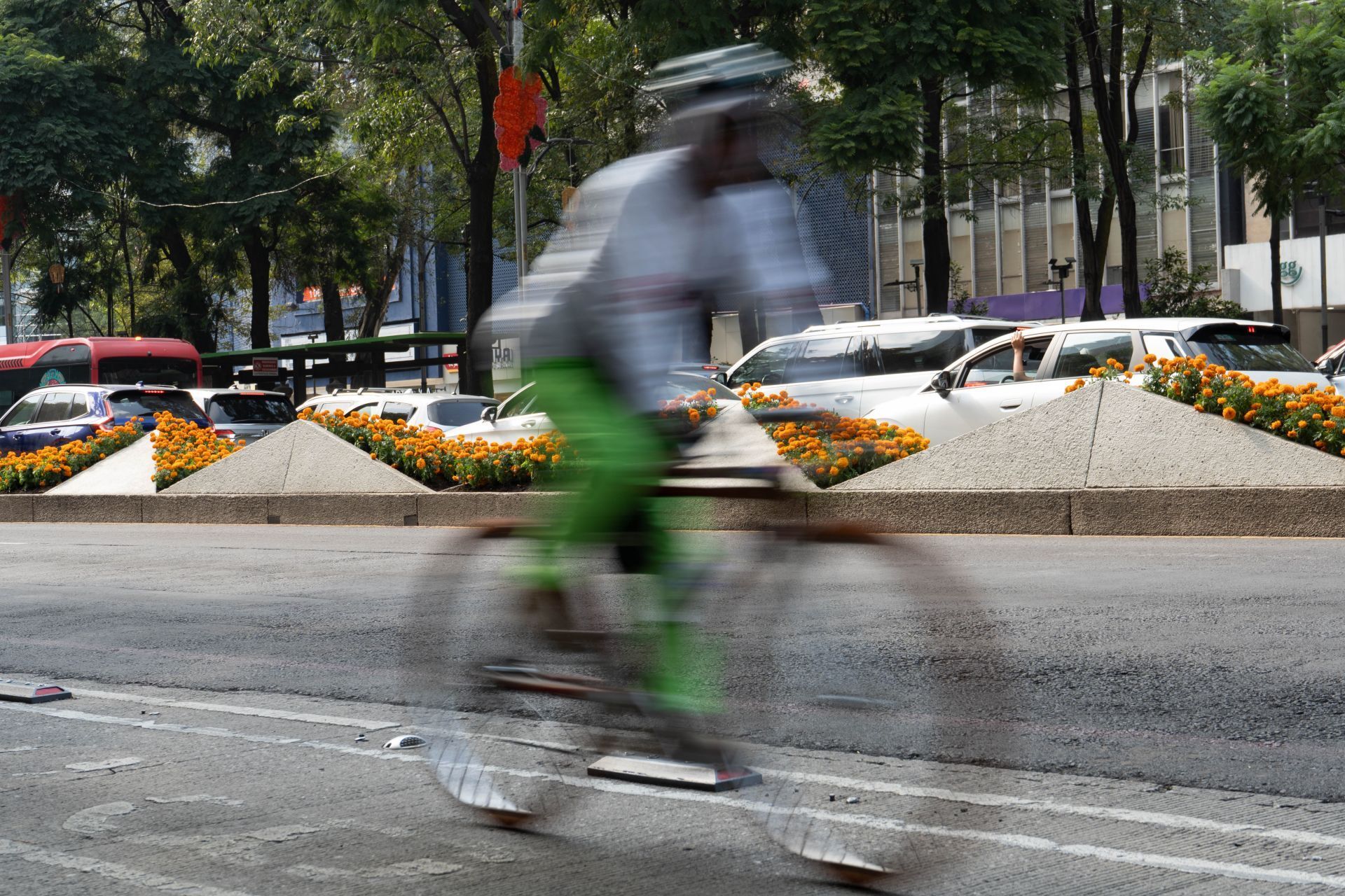 Cada año, autoridades capitalinas colocan las flores sobre Paseo de la Reforma y otras avenidas emblemáticas de la capital.   (Foto: Camila Ayala Benabib / Cuartoscuro)