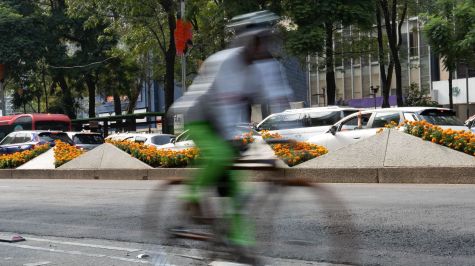 Cada año, autoridades capitalinas colocan las flores sobre Paseo de la Reforma y otras avenidas emblemáticas de la capital.   (Foto: Camila Ayala Benabib / Cuartoscuro)