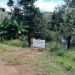El predio conocido como ‘La Casita’ o ‘El Dragón’, ubicado en la localidad de La Curva, municipio de Xalisco (Foto @cofaunay) El predio conocido como ‘La Casita’ o ‘El Dragón’, ubicado en la localidad de La Curva, municipio de Xalisco (Foto @cofaunay)