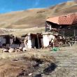 El Gobierno tibetano en el exilio se estableció en India en 1959, tras la huida del dalái lama luego de un levantamiento contra el control chino en el Tíbet. (EFE) El Gobierno tibetano en el exilio se estableció en India en 1959, tras la huida del dalái lama luego de un levantamiento contra el control chino en el Tíbet. (EFE)