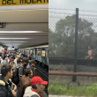 El incidente ocurrió alrededor del mediodía entre las estaciones Viaducto y Chabacano; la circulación volvió a la normalidad cerca de las 13:00 horas. (Foto: Redes sociales)