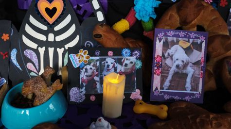 Fotografía que muestra un altar durante el 'Día de los Muertos de las Mascotas', una costumbre de México que honra la memoria de estos animales domésticos y que fue adoptada en La Paz al estilo andino, este martes en La Paz (Bolivia). EFE/Luis Gandarillas