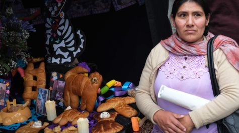 Una mujer aimara visita un altar durante el 'Día de los Muertos de las Mascotas', una costumbre de México que honra la memoria de estos animales domésticos y que fue adoptada en La Paz al estilo andino, este martes en La Paz (Bolivia). EFE/Luis Gandarillas