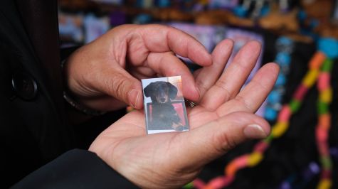 Una persona sostiene una fotografía de una mascota en un altar durante el 'Día de los Muertos de las Mascotas', una costumbre de México que honra la memoria de estos animales domésticos y que fue adoptada en La Paz al estilo andino, este martes en La Paz (Bolivia). EFE/Luis
