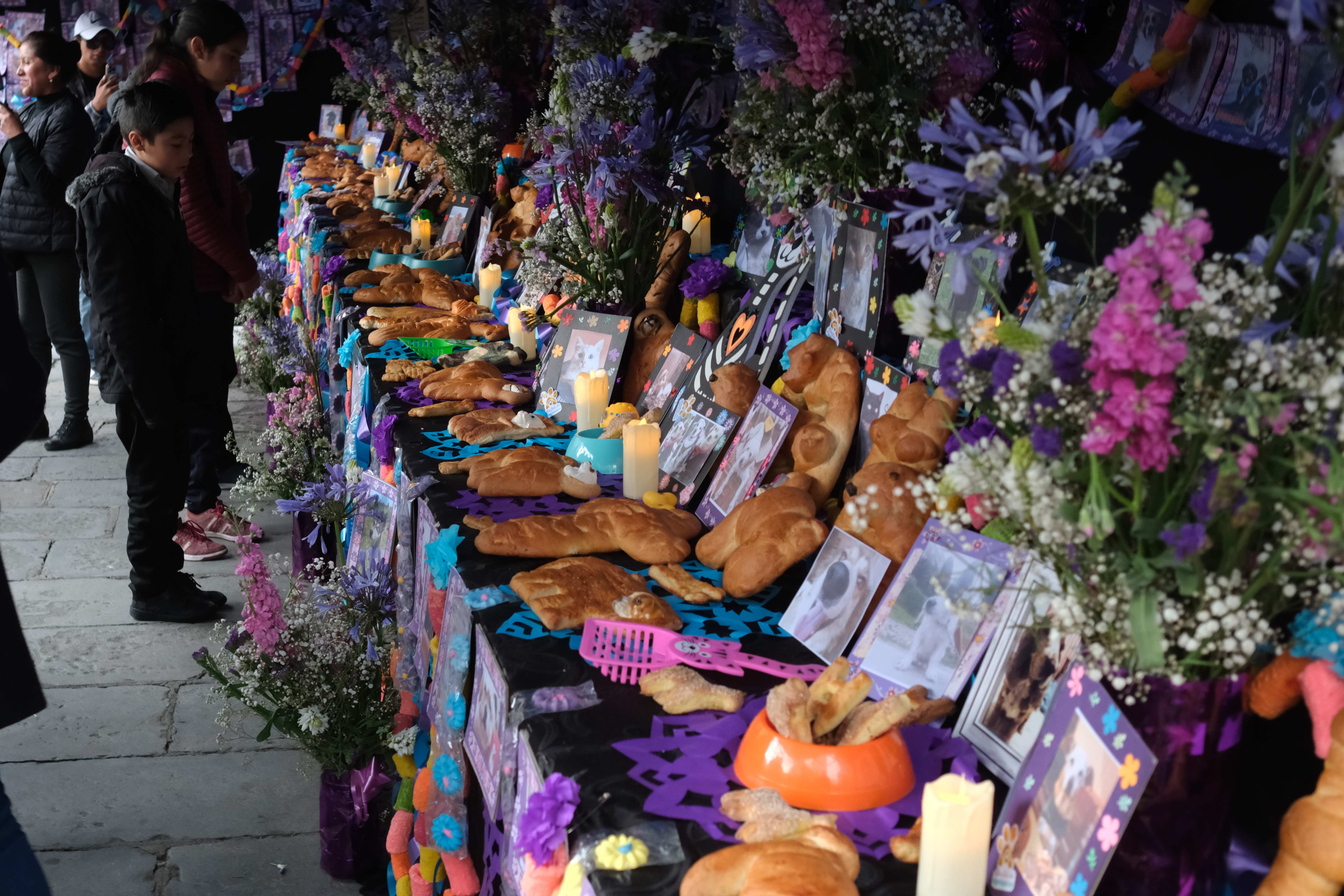 Personas rezan en un altar durante el 'Día de los Muertos de las Mascotas', una costumbre de México que honra la memoria de estos animales domésticos y que fue adoptada en La Paz al estilo andino, este martes en La Paz (Bolivia). EFE/Luis Gandarillas