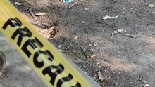 La alerta se activó luego de que personal de una clínica veterinaria ubicada en la calle Pachuca notificara a las autoridades sobre el ingreso de varias mascotas con síntomas de intoxicación (Foto: Especial)