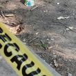 La alerta se activó luego de que personal de una clínica veterinaria ubicada en la calle Pachuca notificara a las autoridades sobre el ingreso de varias mascotas con síntomas de intoxicación (Foto: Especial) La alerta se activó luego de que personal de una clínica veterinaria ubicada en la calle Pachuca notificara a las autoridades sobre el ingreso de varias mascotas con síntomas de intoxicación (Foto: Especial)
