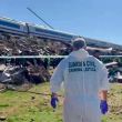 El accidente ocurre después de otro siniestro ferroviario en Adamuz, Córdoba, en enero pasado, que dejó 46 personas fallecidas y más de 120 heridas. (EFE) El accidente ocurre después de otro siniestro ferroviario en Adamuz, Córdoba, en enero pasado, que dejó 46 personas fallecidas y más de 120 heridas. (EFE)