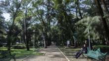 El espacio, uno de los más concurridos de la zona Roma-Condesa, registra poca afluencia luego de que se reportara la muerte de dos perros por una posible intoxicación; personal de la alcaldía busca más sustancias tóxicas. (Foto: Cuartoscuro)