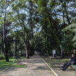 El espacio, uno de los más concurridos de la zona Roma-Condesa, registra poca afluencia luego de que se reportara la muerte de dos perros por una posible intoxicación; personal de la alcaldía busca más sustancias tóxicas. (Foto: Cuartoscuro)